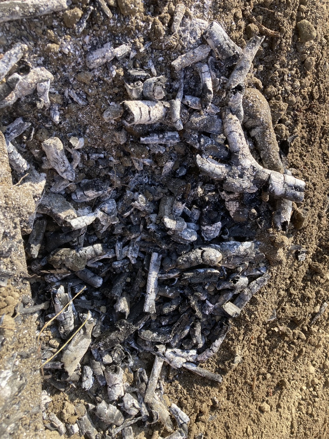 化学変化の観察